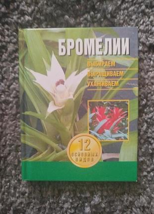 Бромелии: выбираем, выращиваем, ухаживаем