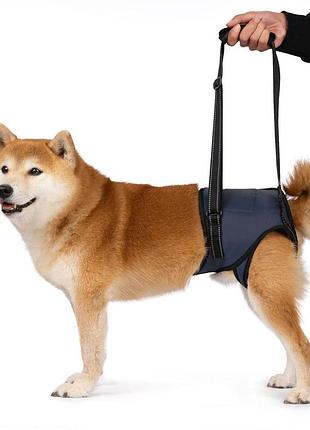 Реабилитационная шлейка pet style для собак с поддержкой задних лап, синяя, размер m