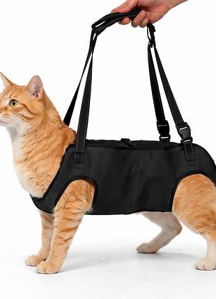 Ортопедическая шлейка корсет для поддержки или переноски котов pet style реабилитационный бандаж на все тело s