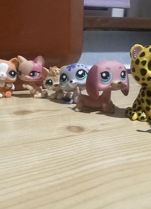 Оригінал lps #2095 special edition ginger tabby cat 8