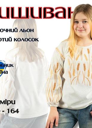 Вышиванка детская девочка, сорочка-вышиванка для девочки, блуза школьная для девочки длинный рукав молочный 134
