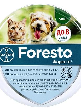 Ошейник elanco (bayer) foresto (форесто) от блох и клещей для собак и кошек малых пород 38 см