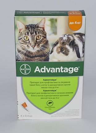 Bayer advantage 40 до 4 кг- 4 пипетки(1 упаковка)для котов и мелких домашних животных