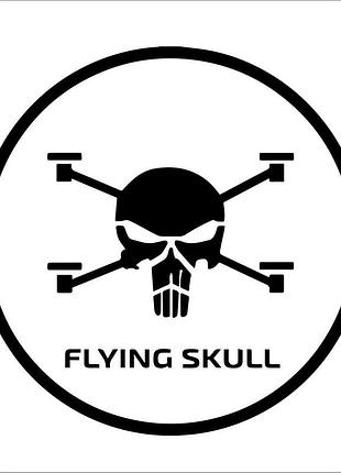 Наклейка сбс батальйон «flying skull» черный, 40х40см
