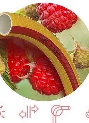 Шланг для поливу 1/2 (50м) fruitberry (бухта) тм symmer