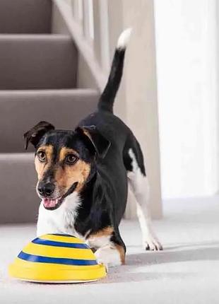 Игрушка-пищалка для домашних собак woof glider.