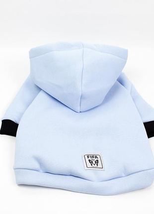 Худи french blue для французских бульдогов голубой xxl