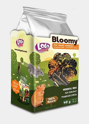 Lolopets корм herbal для гризунів суміш лікарськими травами 40г 74104