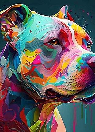 Набор для росписи по номерам яркий питбуль 40х40см на черном фоне av4040-1 тм strateg