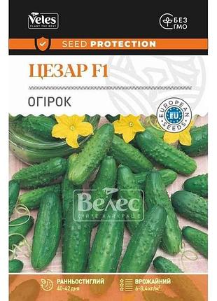 Огірок цезар f1 інкрустований (10 пачок) 50шт тм велес