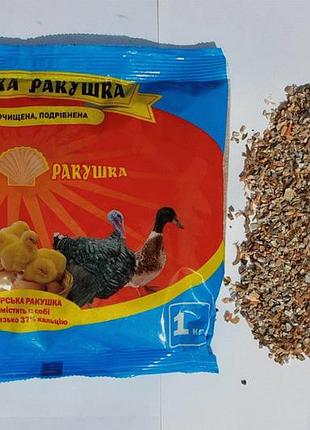 Черепашка морська очищена 1 кг