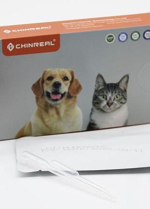 Тест rapidvet-h feline для кошек для определения группы крови