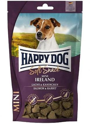 Лакомство happy dog soft snack mini ireland со вкусом лосося и кролика для собак 100 гр