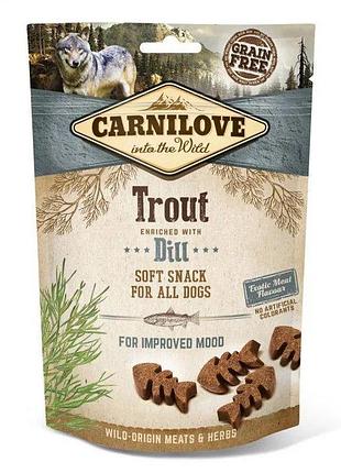 Лакомство carnilove dog soft snack для собак с форелью и кропом 200г