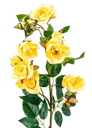 Камелия (75 см) elisey