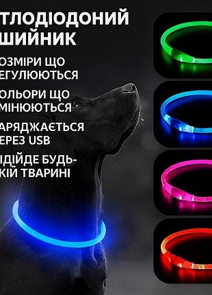 Оченка! світлодіодний вологостійкий нашийник для собак usb розмір s-35 cm m-50 cm l-70 cm (немає паковання 3389)