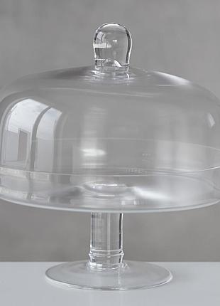 Тортівниця "солодка вітрина", 24*24 см elisey
