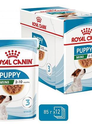 Акція royal canin shn wet xsmall puppy вологий корм для собак 9+3 до 85 г