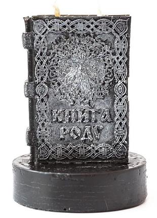 Свічка книга рода двофітільна