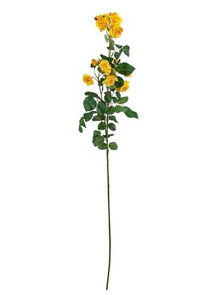 Камелия (75 см) elisey