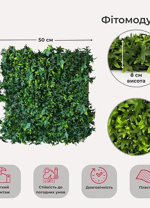 Декоративна панель зі штучної зелені "плющ", 50*50 см elisey