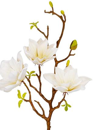 Магнолия "аврора", кремовая, 77 см elisey