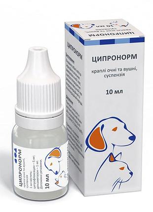 Труси стрінги на регуляторі 498 в чорному кольорі 3319 / s-m-l s-m-l