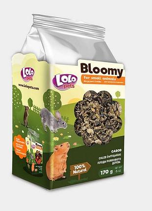 Лакомство bloomy для грызунов с рожковым деревом, 170 г