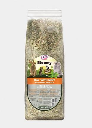 Сено lolopets bloomy с мятой для грызунов 800 г