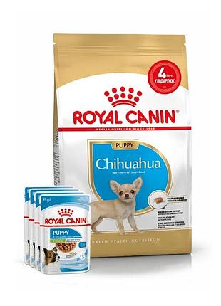 Акція royal canin chihuahua puppy набір корму для цуценят 1,5 кг + 4 паучі