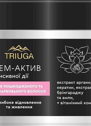 Крем для волосся 300мл актив глибоке відновлення і живлення тм triuga ayurveda