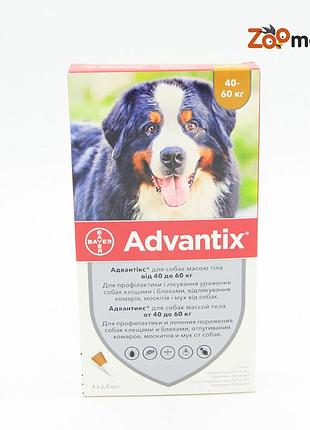Адвантікс (advantix) - краплі від бліх і кліщів для собак 40-60кг