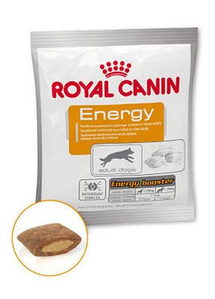 Royal canin energy (роял канин) 50г-ласщи для собак