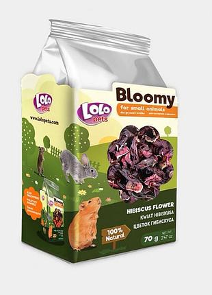 Корм lolopets bloomy цветок гибискуса для грызунов, 70 г