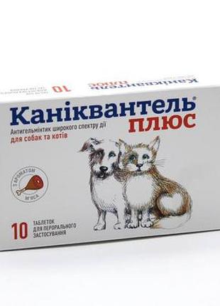 Каниквантель плюс-антигельминтик для собак, блистер 10 таблеток с ароматом мяса, германия каниквантель + блистер 12тб, германия