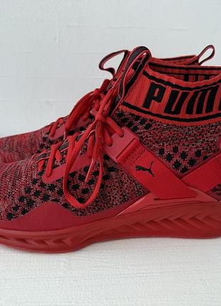 Puma lgnite evoknit кросівки
