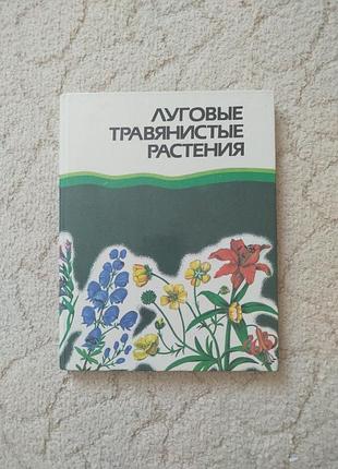 Луговые травянистые растения энциклопедический словарь