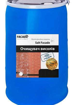 Смывка высолов salt facade euro для тротуарной плитки очиститель 200 л