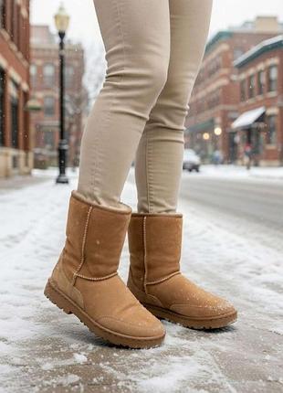 Сапоги угги женские ugg оригинал us 6 бежевые, натуральная замша и шерсть