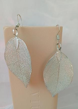 Сережки листя 2