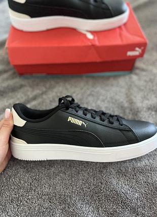 Чоловічі кеди puma serve pro