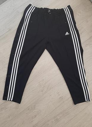 Спортивні штани adidas
