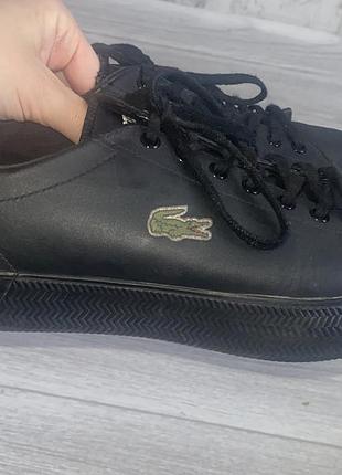 Кеди lacoste 3