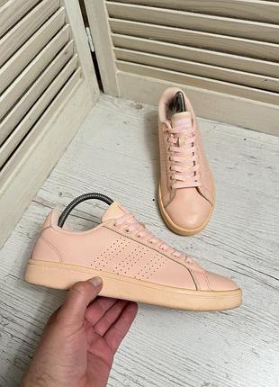 Кросівки adidas cloudfoam