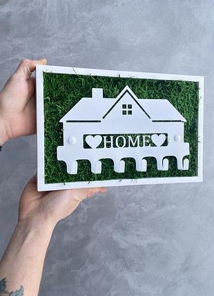 Ключниця з мохом настінна, плаский мох