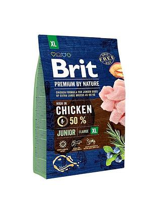 Корм сухой brit premium dog junior xl для щенков и молодых собак гигантских пород от 1 до 30 месяцев весом 45-90 кг из кур
