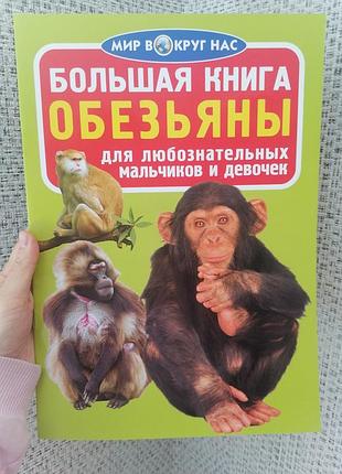 Большая книга обезьяны 2284