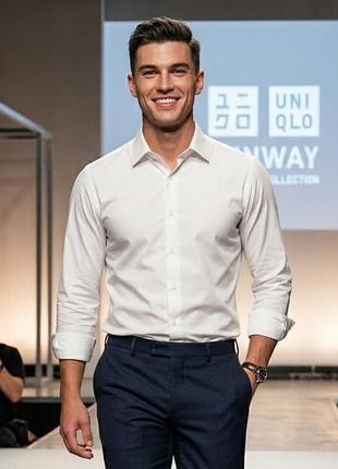Рубашка мужская uniqlo, белая, m, хлопок (slim fit)
