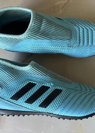 Сороконіжки adidas