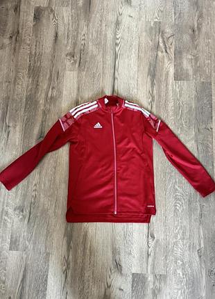 Кофта adidas